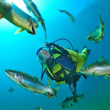 Village Praebichl, بيت للعطل *