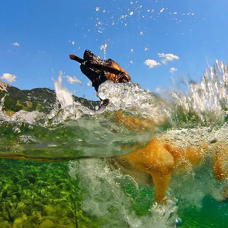 Village Praebichl, 度假居