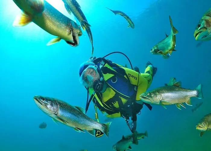 Village Praebichl, Prázdninový dům *