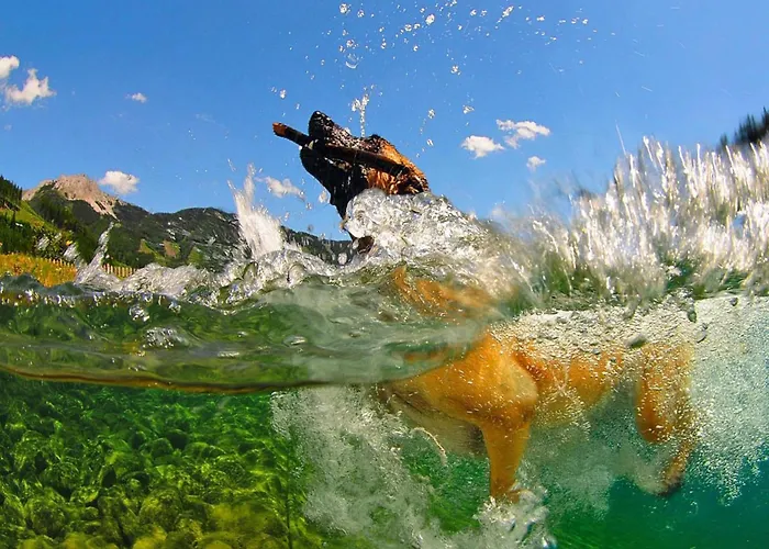 Village Praebichl, Prázdninový dům